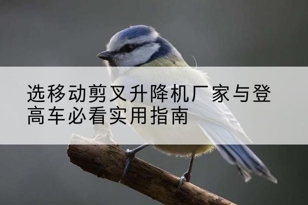 攀枝花电动升降机厂家-选移动剪叉升降机厂家与登高车必看实用指南