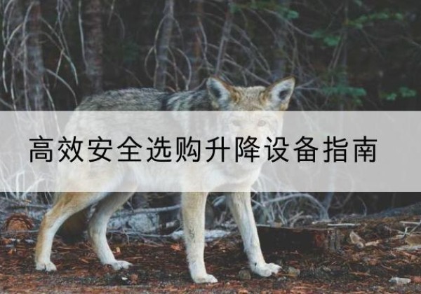 攀枝花升降货梯厂家推荐-*安全选购升降设备指南