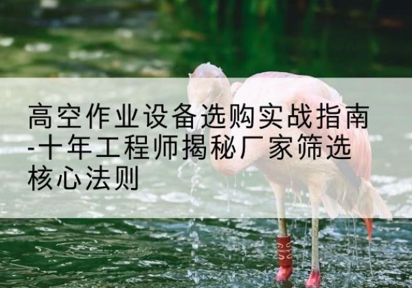 攀枝花剪叉式升降机厂家-高空作业设备选购实战指南-十年工程师揭秘厂家筛选核心法则